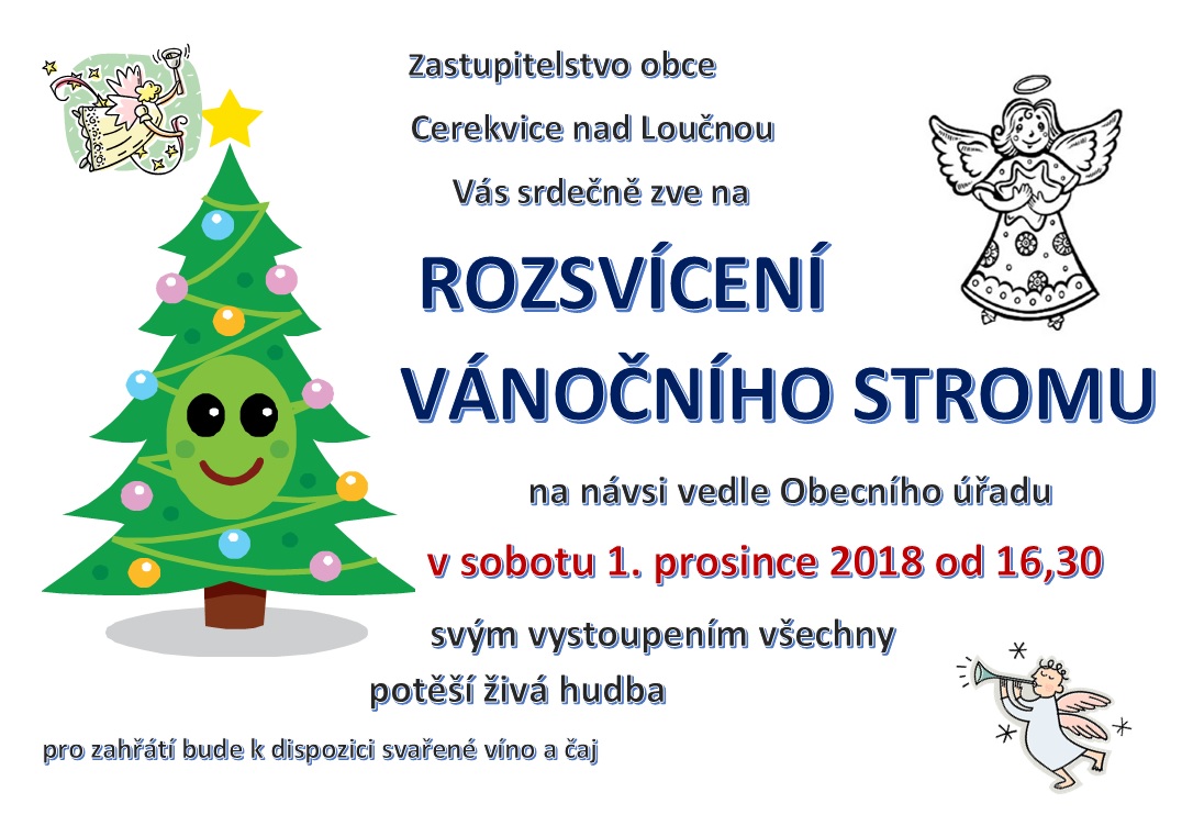 vánoční strom 2018.jpg