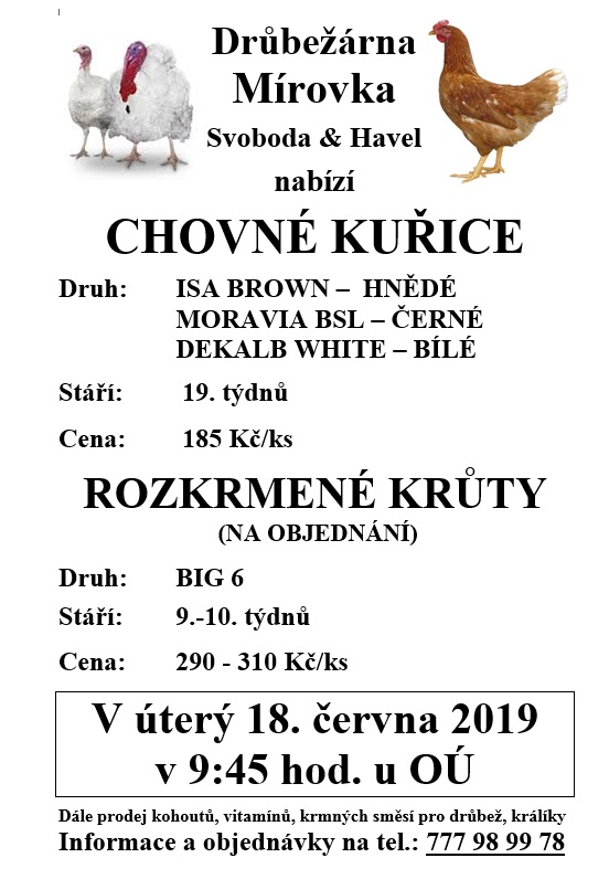 prodej kuřic 190618.jpg